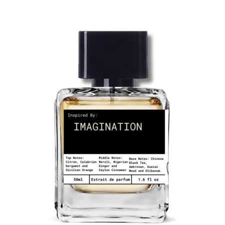 Inspired by Imagination LV